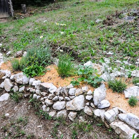 Gorska Hiska Vogar Nad Bohinjskim Jezerom 外观 照片