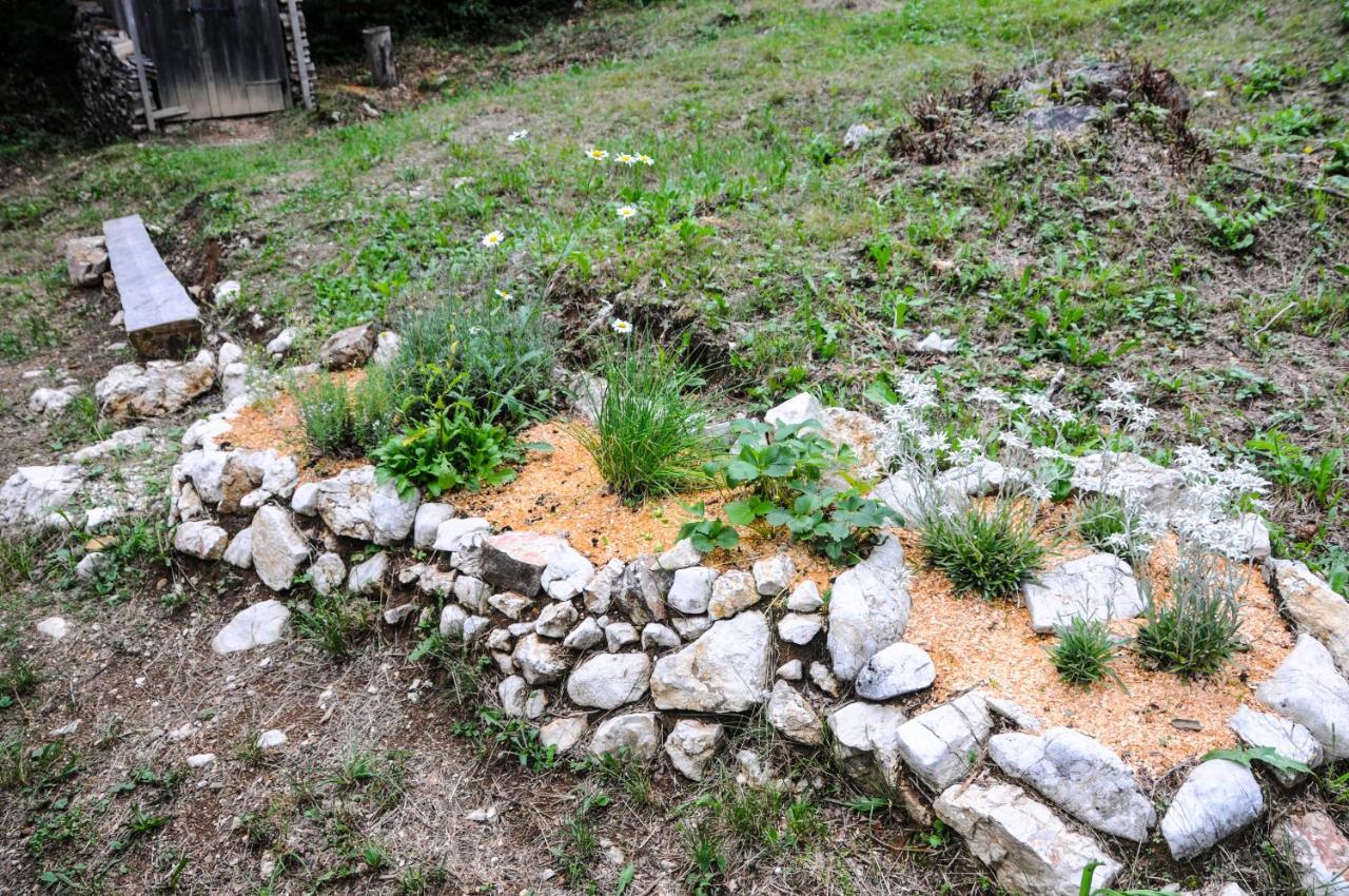 Gorska Hiska Vogar Nad Bohinjskim Jezerom 外观 照片