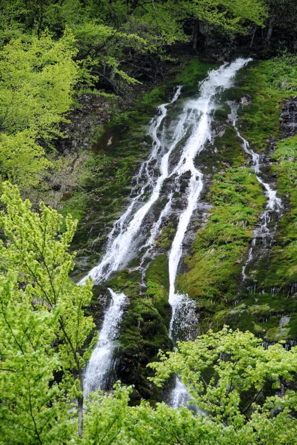 Gorska Hiska Vogar Nad Bohinjskim Jezerom 外观 照片